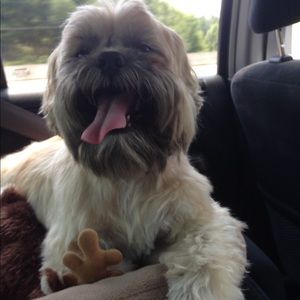 Meet your Posher, Rebekah